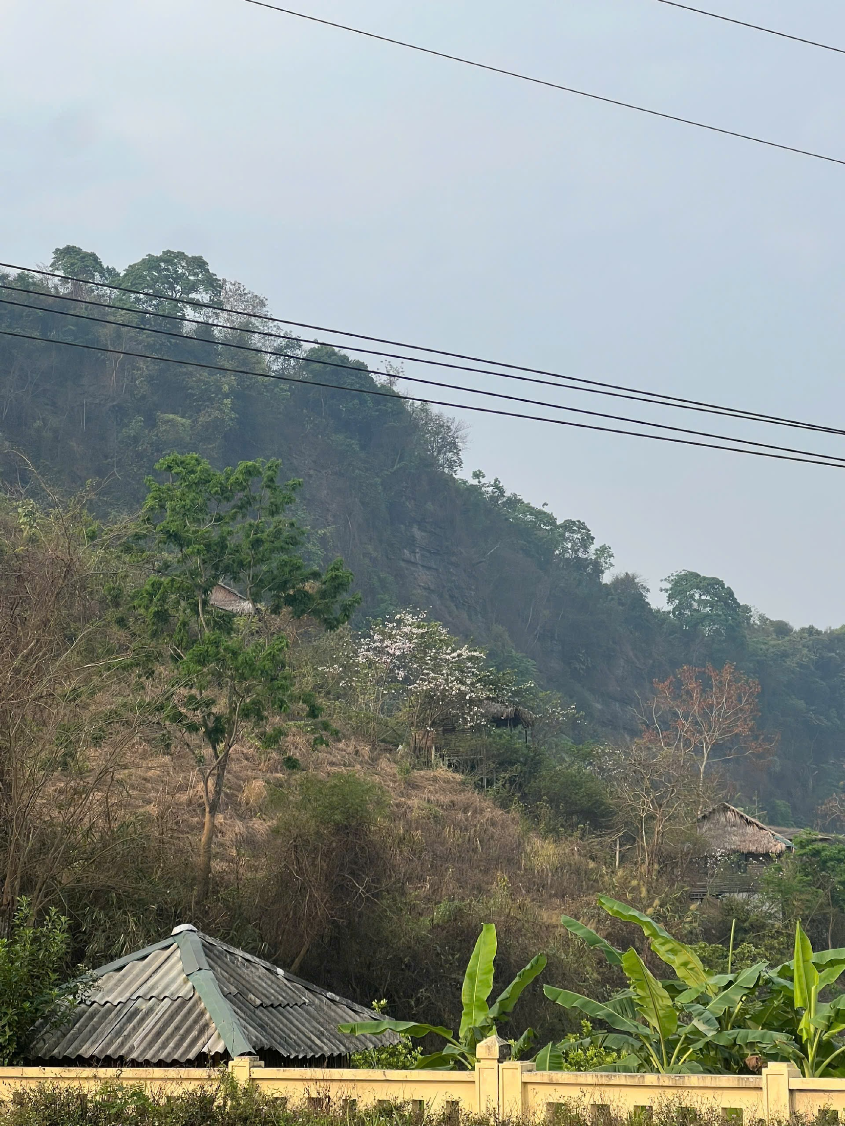 Điện Biên Phủ — ảnh 1